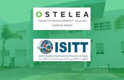Ostelea_Marruecos