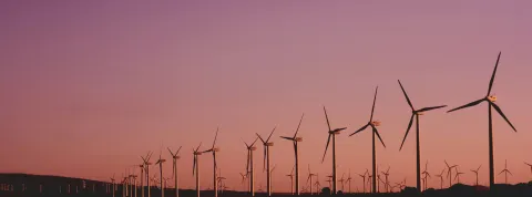 articulo-sostenibilidad-empresarial-eae