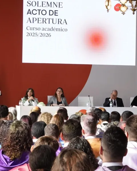 Año Académico VIU